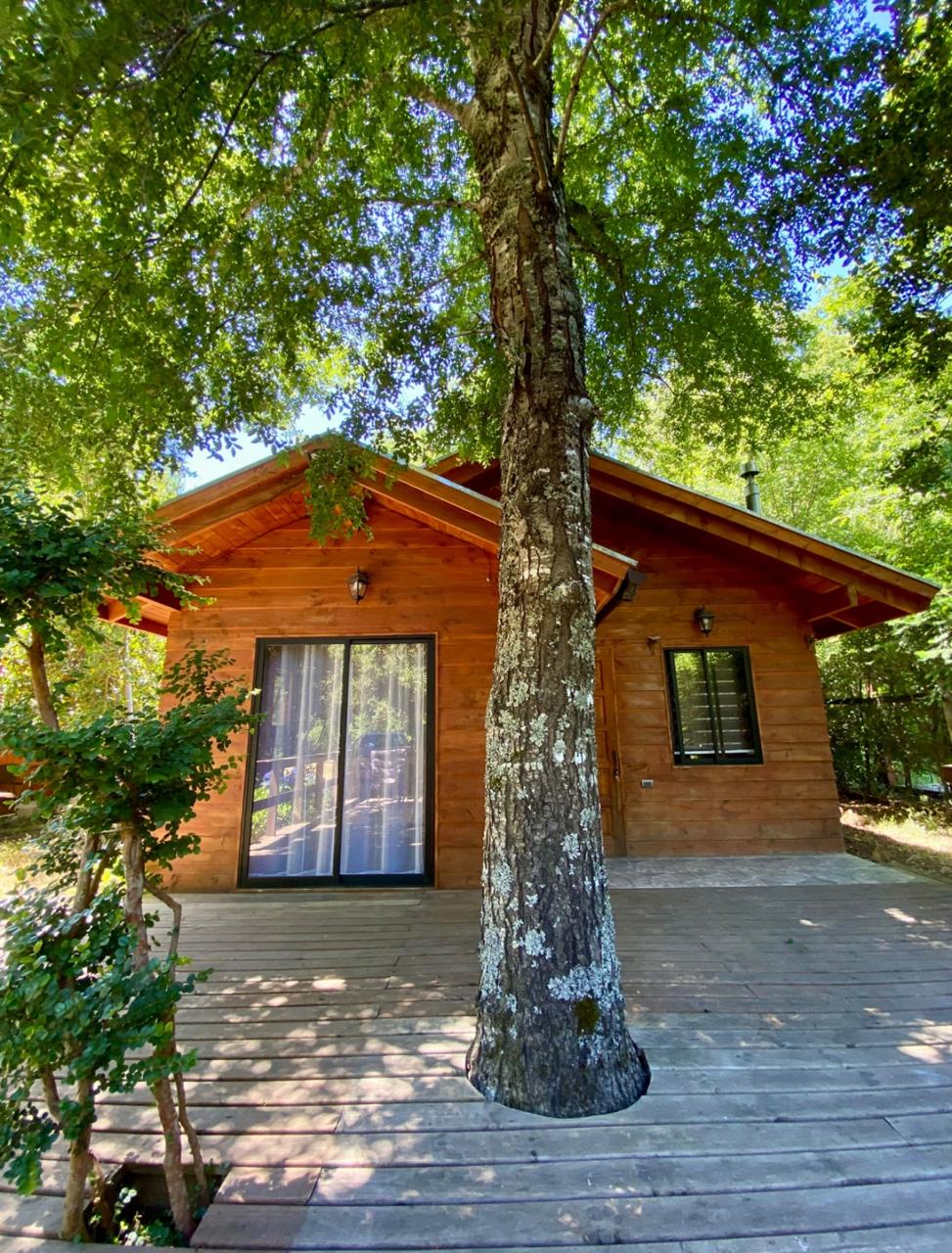 Cabañas en el bosque